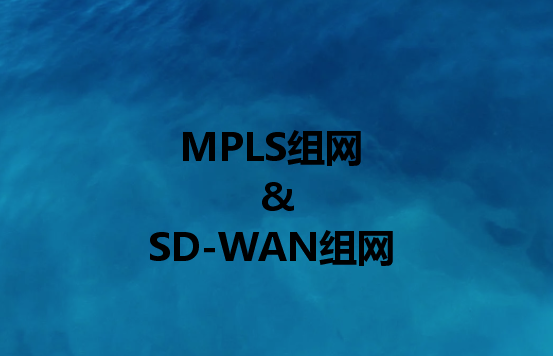 企業(yè)組網解決方案：組網或SD-WAN組網